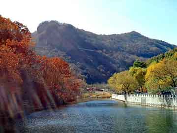 管家婆黑白马报图库，活跃ip段